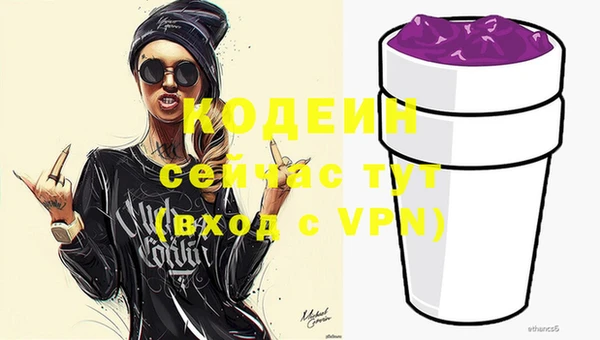 индика Абаза