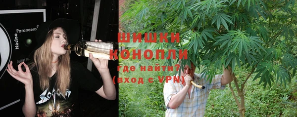 индика Абаза