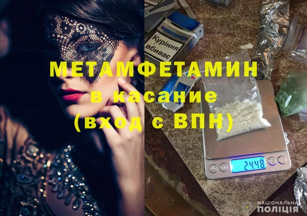 индика Абаза