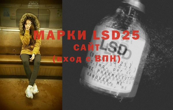 индика Абаза