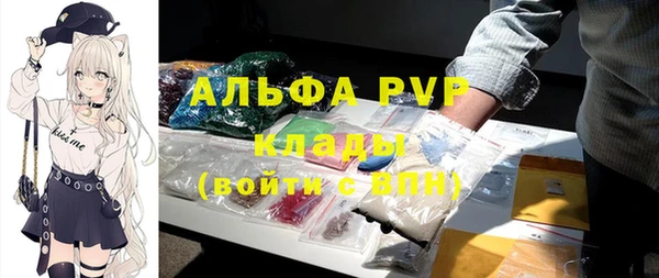 гашик Алексеевка