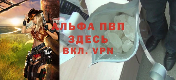 индика Абаза